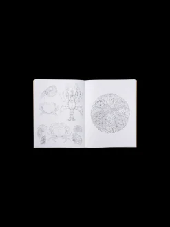 Beautiful Planet Colouring Book
