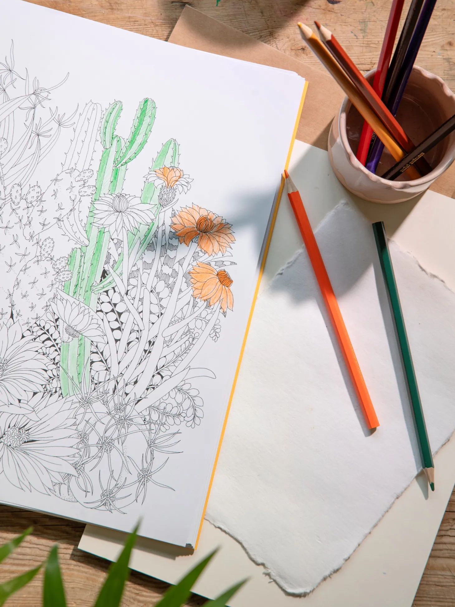 Beautiful Planet Colouring Book