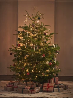 Juletrestjerne