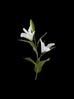 Kunstig Blomst – Lilje