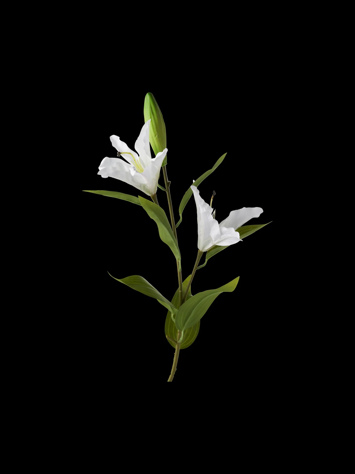 Kunstig Blomst – Lilje