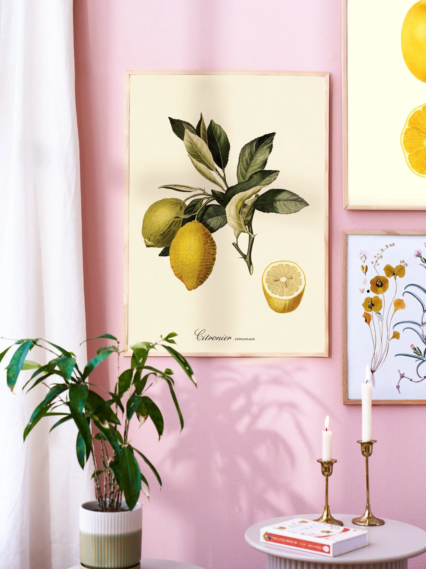 Plakat 50 X 70