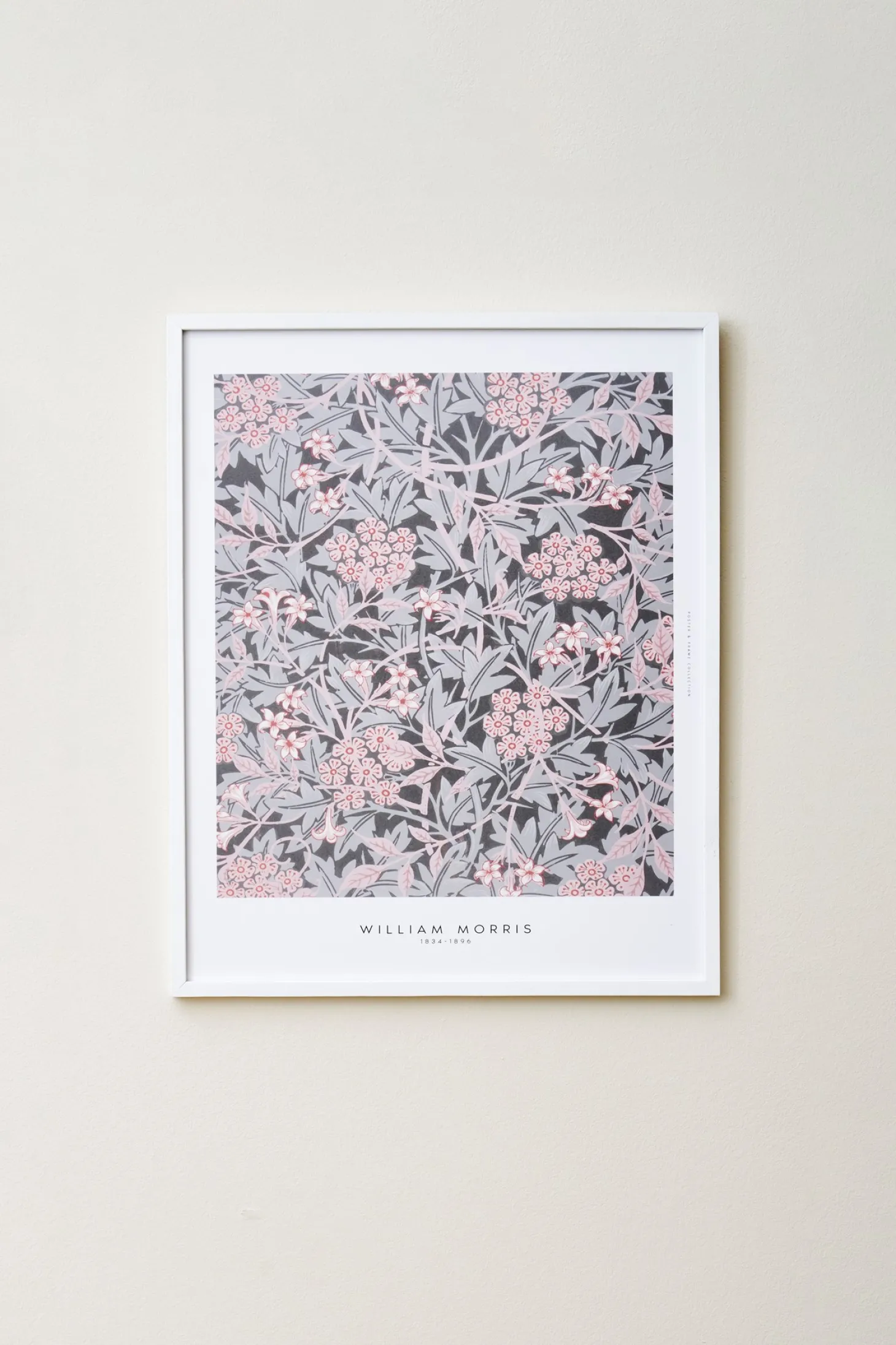 Plakat Dust Rose 40 X 50 Cm
