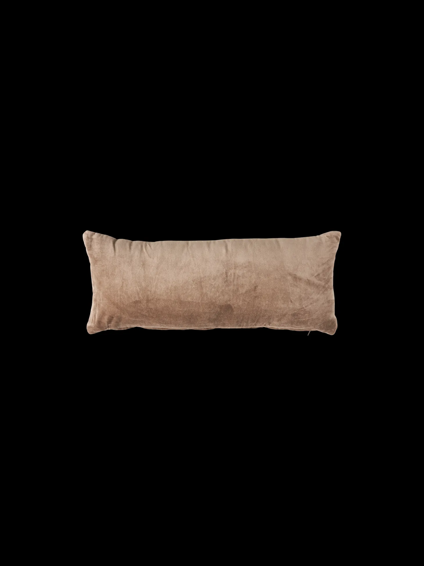 Pyntepute