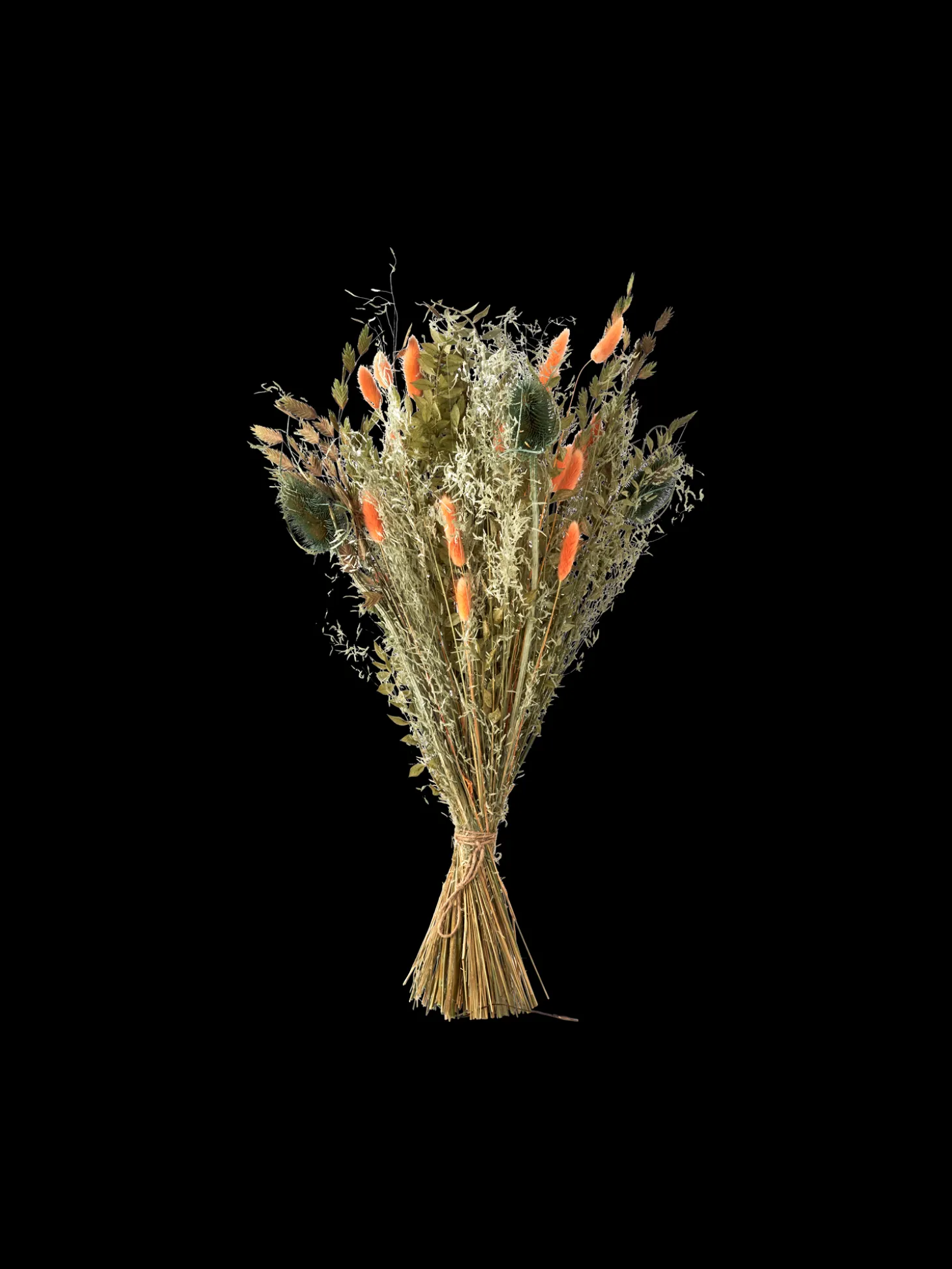 Tørkede Blomster Orange Medium